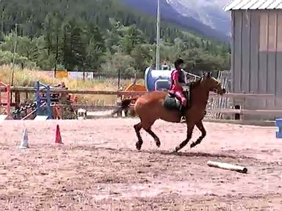 Cours de CSO avec Sirocco en été 2009
