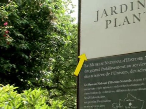 Visite d’un lieu : le Jardin des Plantes – Juin 2010