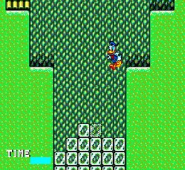 Donald the Lucky Dime Caper - Partie 4 - Kashi's Prod