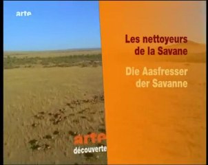 les nettoyeurs de la savane (1)