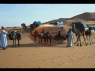 Merzouga Cameltrekking  Bivouac