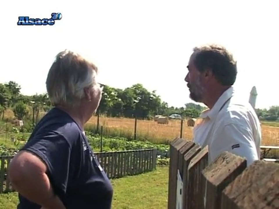 Sélestat : des fruits exotiques à domicile !