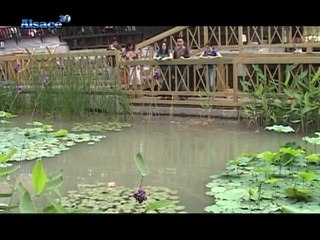 EDF : les défis énergétiques pour l'avenir (Alsace)