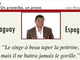 Un proverbe, un prono : Espagne Paraguay