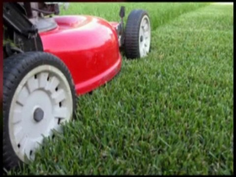 Atlanta lawncare & lawn maintenance