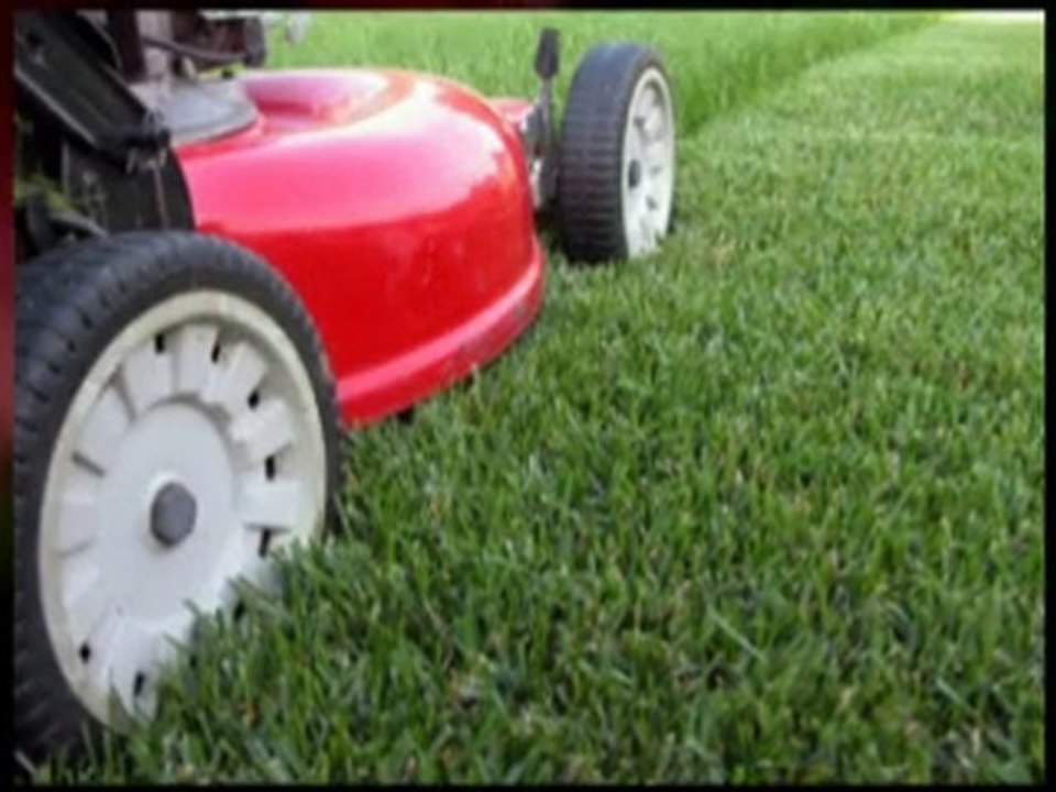 Atlanta lawncare & lawn maintenance