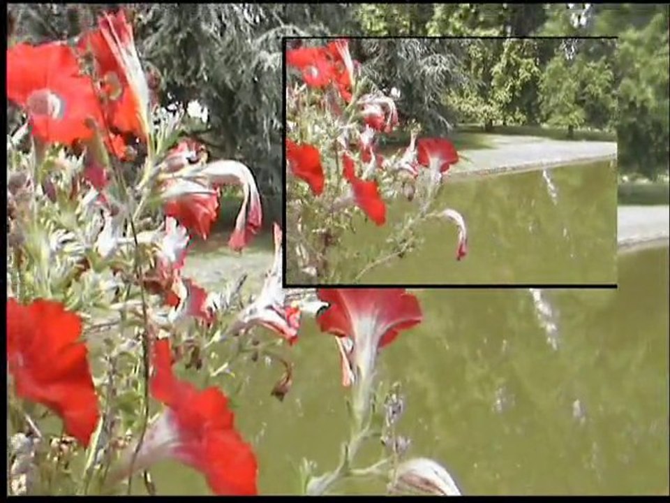 schoppinwihr l'été 2010