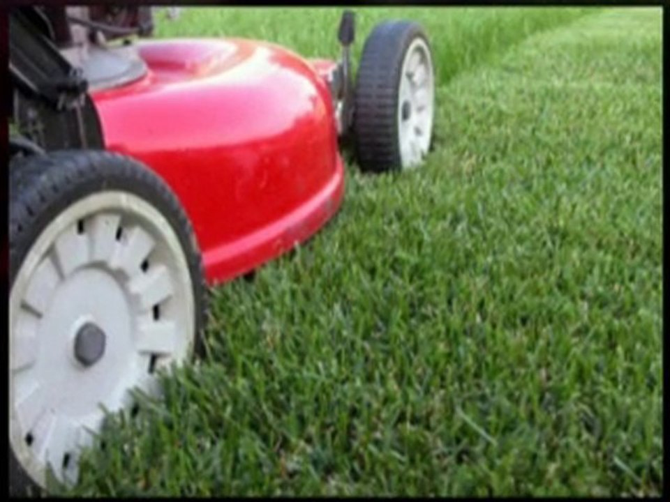 Snellville Lawncare