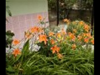 aşk sız  kalan lar için