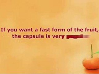 Can You Buy Acai Berry And Avoid The Scams