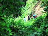 Finca La Lorita - Guachaca, Colombia - Sierra Nevada