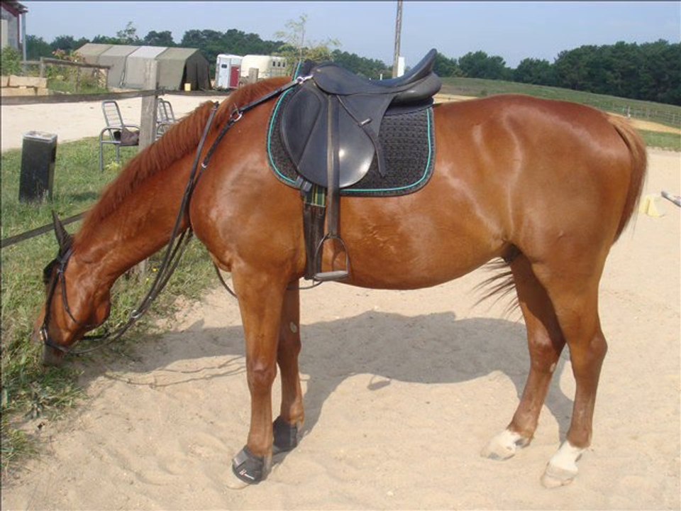 Remise en route pour Queen's 02.07.10