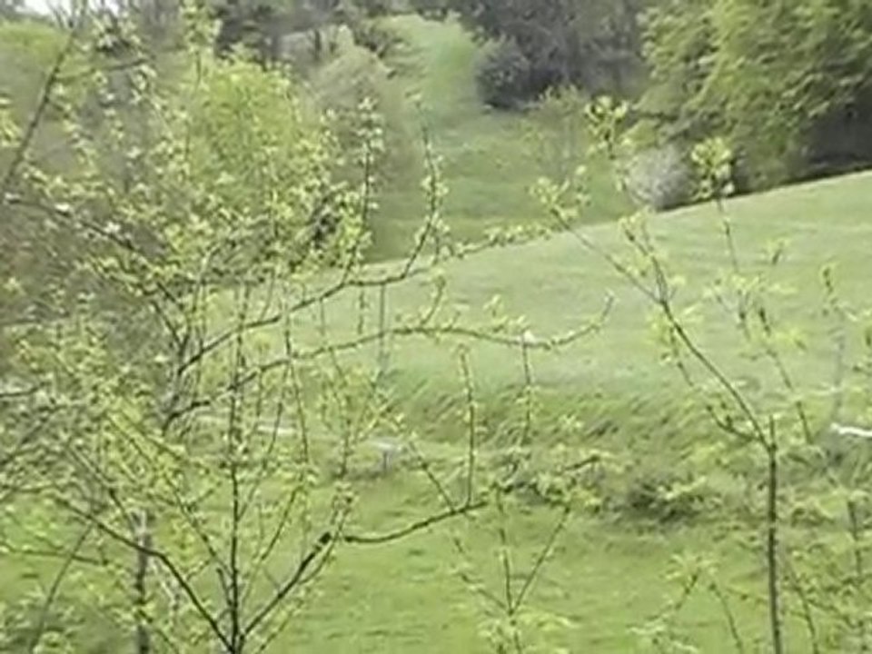 rallye du valdagou 2010