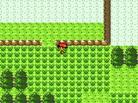 Pokémon Or [2] : La route vers Mauville !