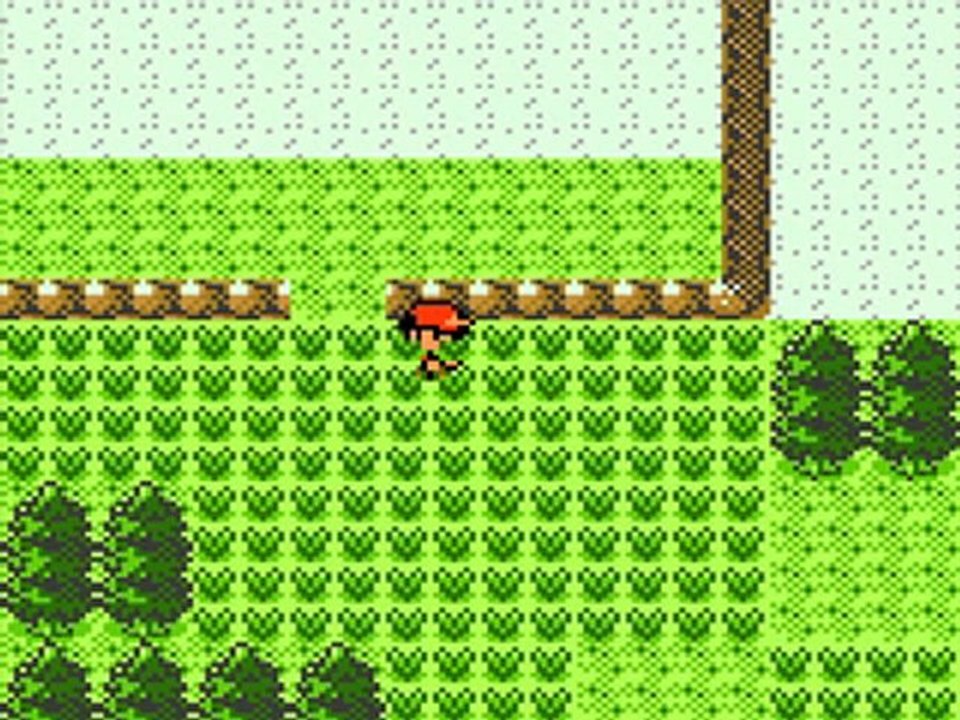 Pokémon Or [2] : La route vers Mauville !