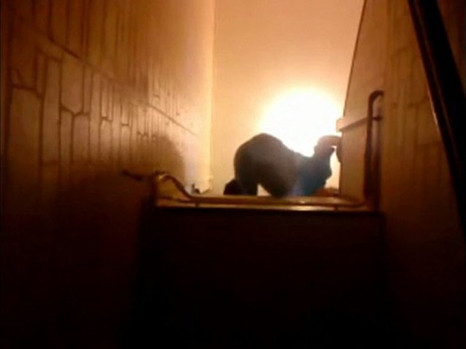 Mon escalier