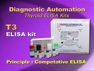 T3 ELISA kit
