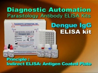 DENGUE ELISA kit