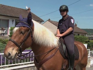 Brigade équestre et Equitram de Maxeville (Lorraine)