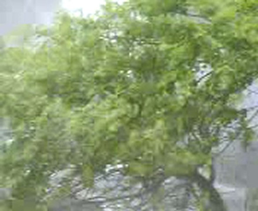 cascate