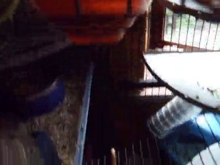 DSCF7393