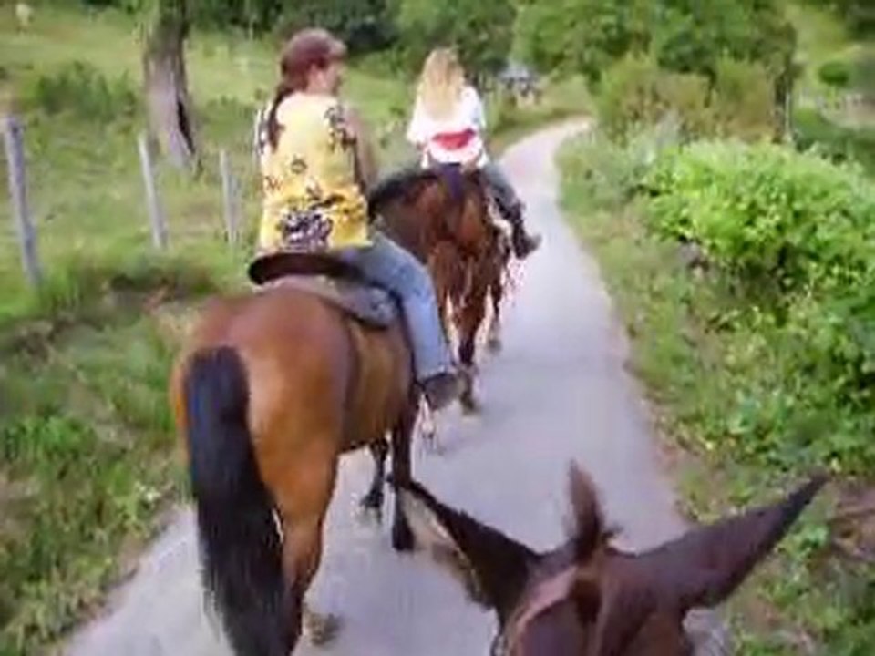 29.6.10balade-équidés (21)