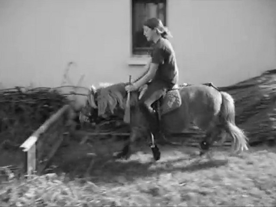 Montage 1 an Torpi