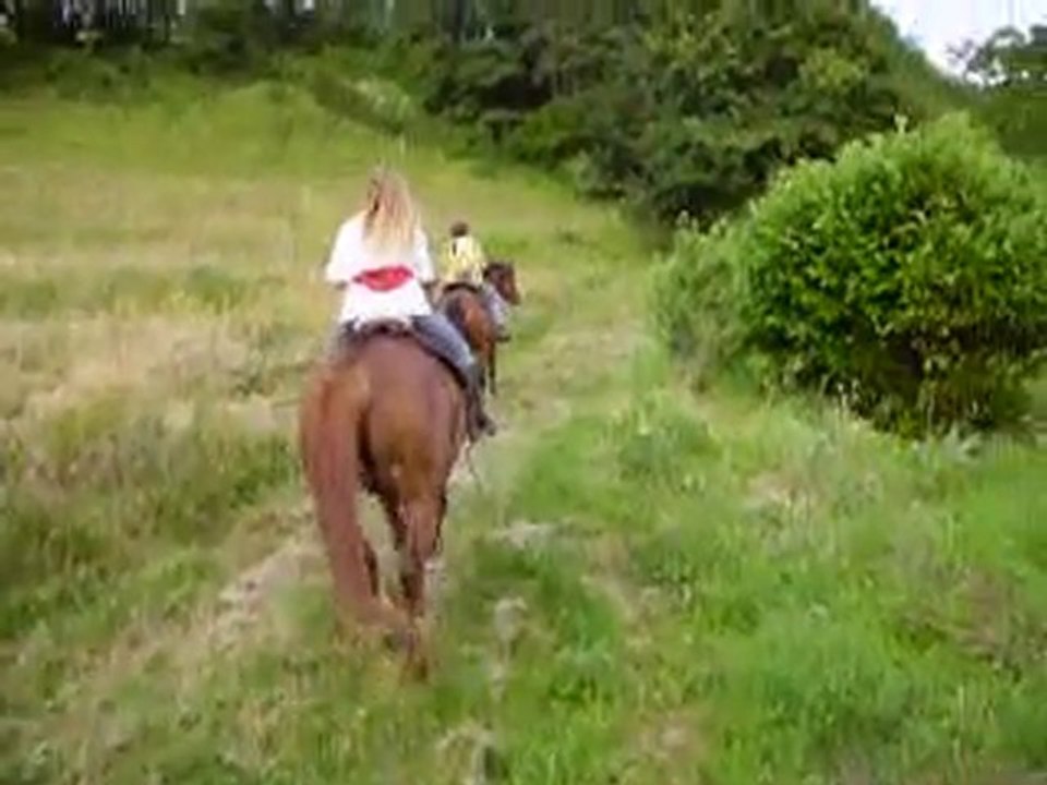 29.6.10balade-équidés (23)