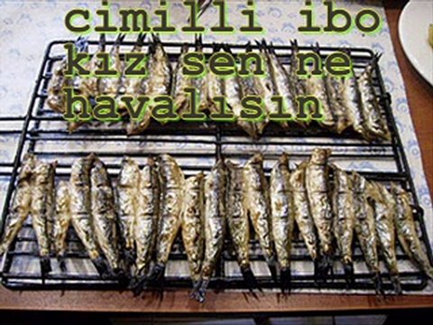 ömer cen karadeniz güzeli ve cimilli ibo