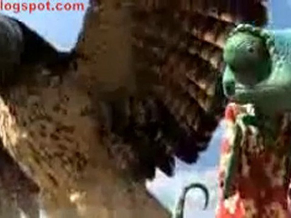 _Rango_ Official Full Trailer~11