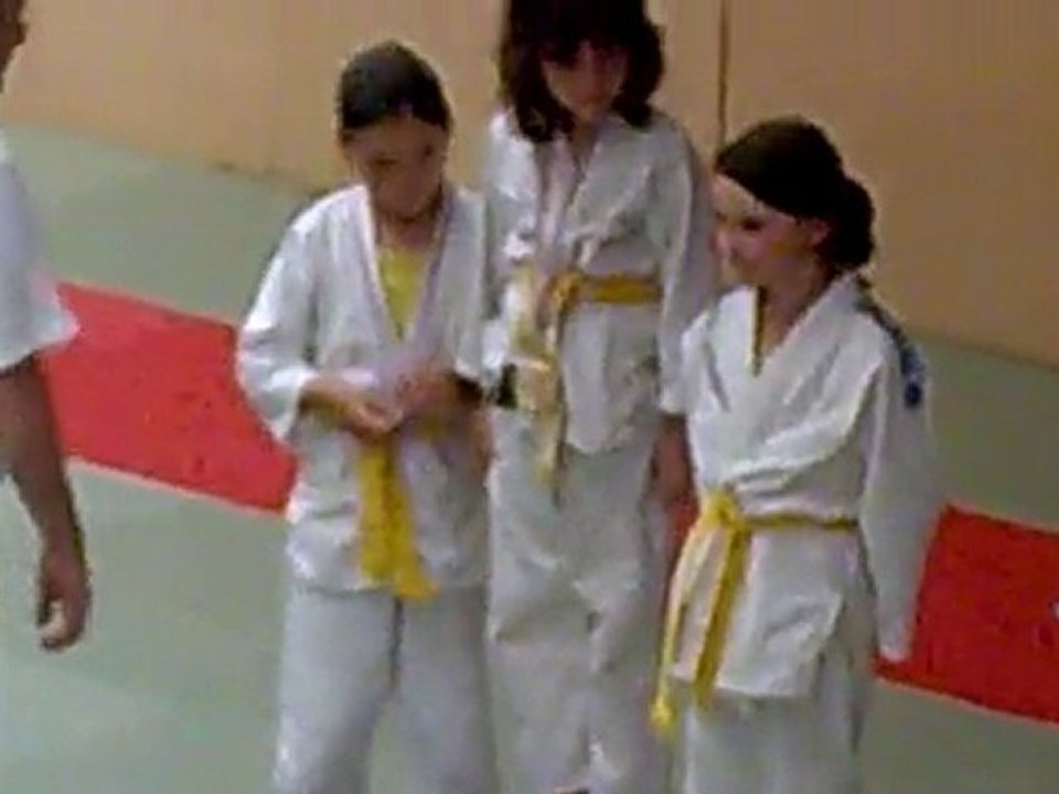 Remise medaille 2010