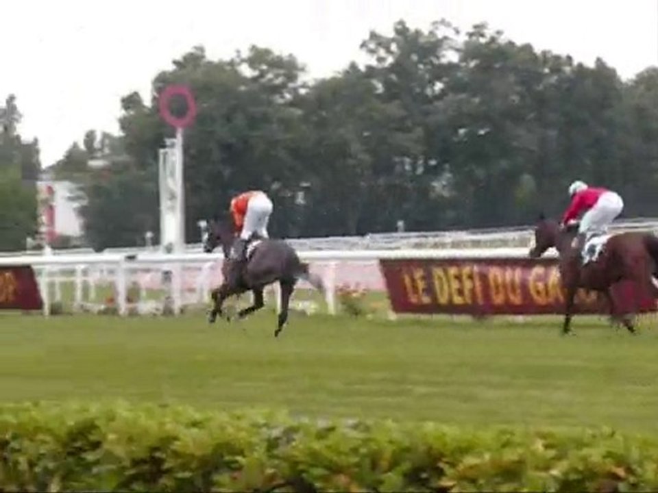 BDX BOUSCAT 2