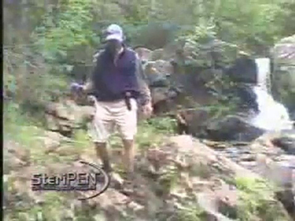 Tips On Investing in a Water Purifier For Your Home