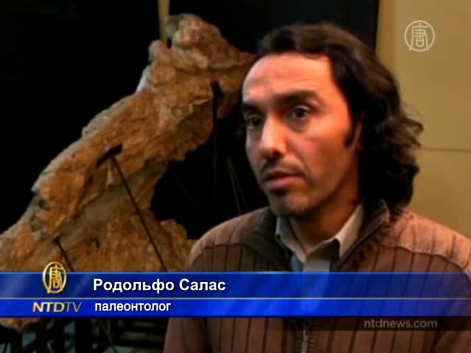 Учёные обнаружили морское чудовище