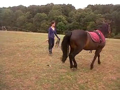 VID 00025-20100703-1439.3GP