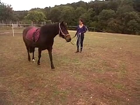 VID 00027-20100703-1444.3GP