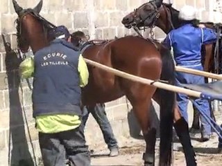 TERRYBROTHERS DETE ET TYSON DE MALABRY
