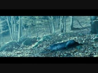 Le secret de moonacre