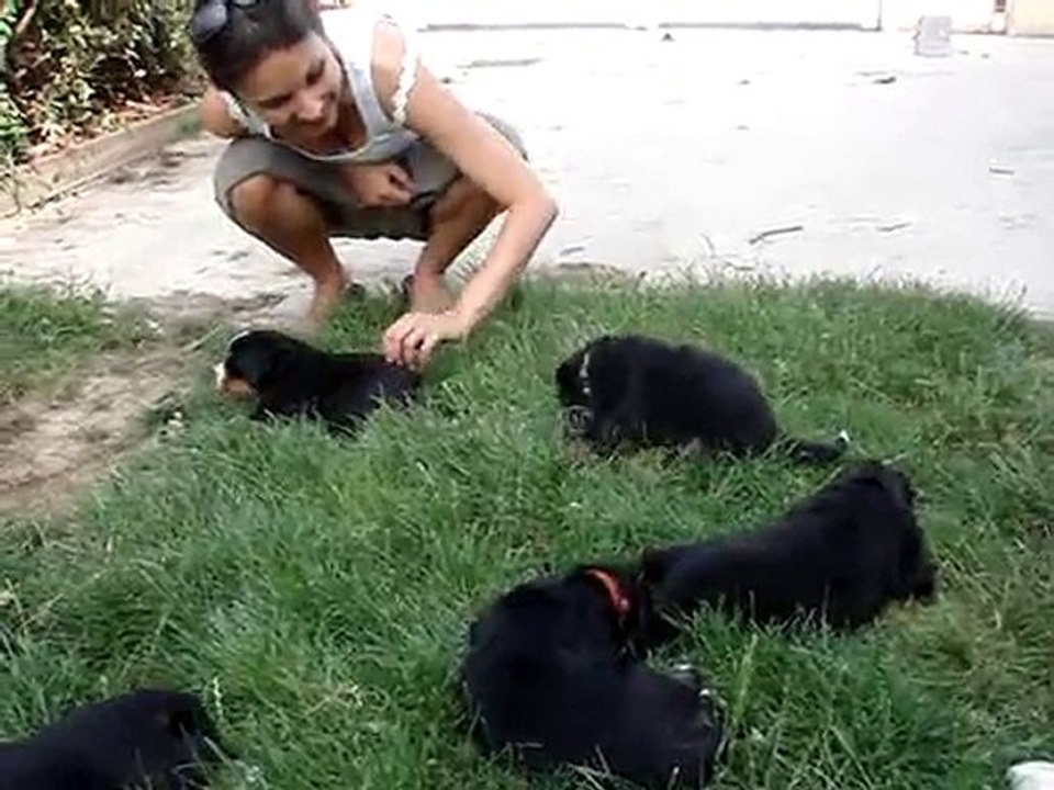 portee-chapxdjazz-2010 - Karine en visiteuse