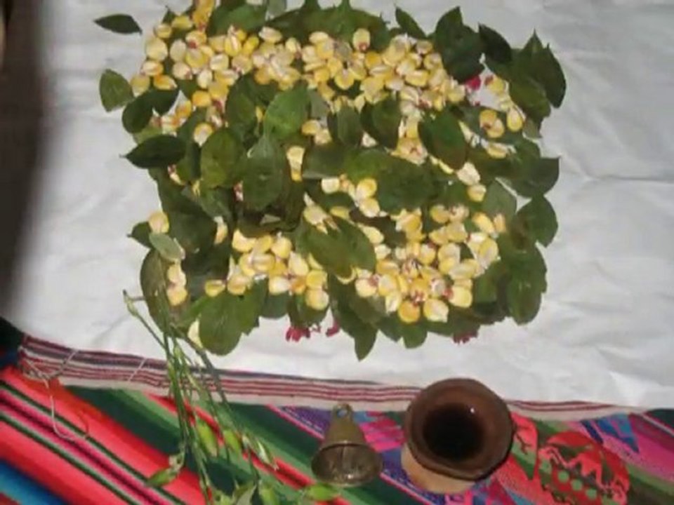 CULTURAL IMMERSION 9