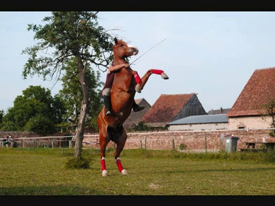 Jamais toi sans moi et moi sans toi