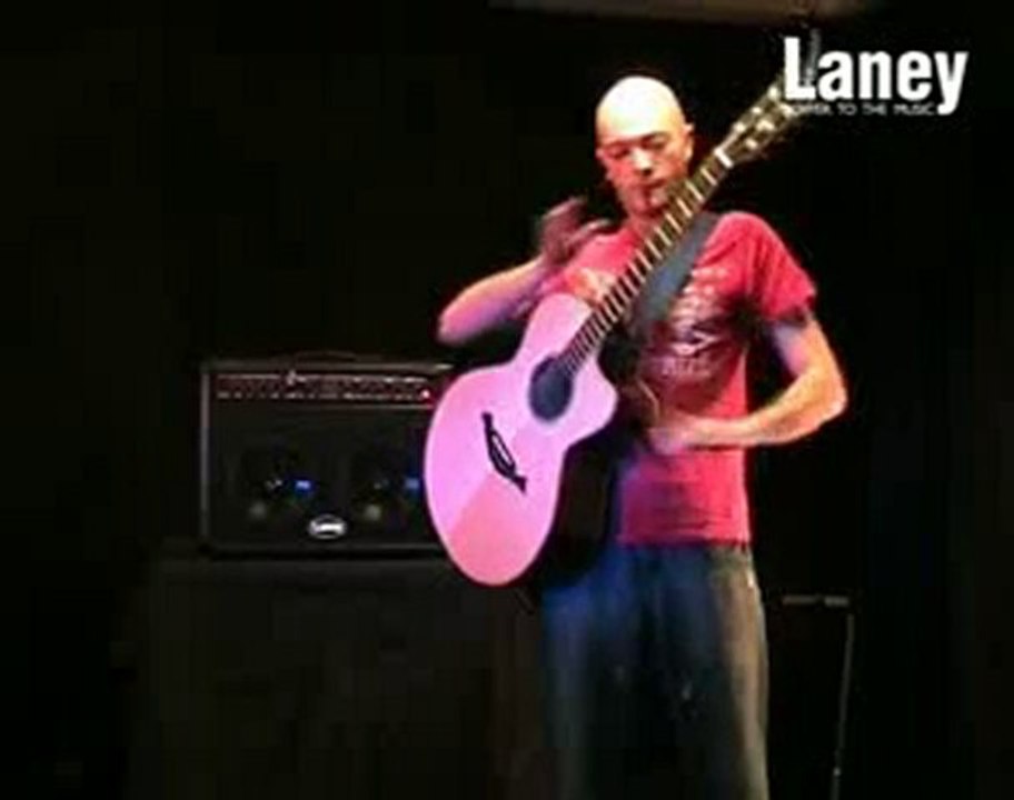 Laney LA65D