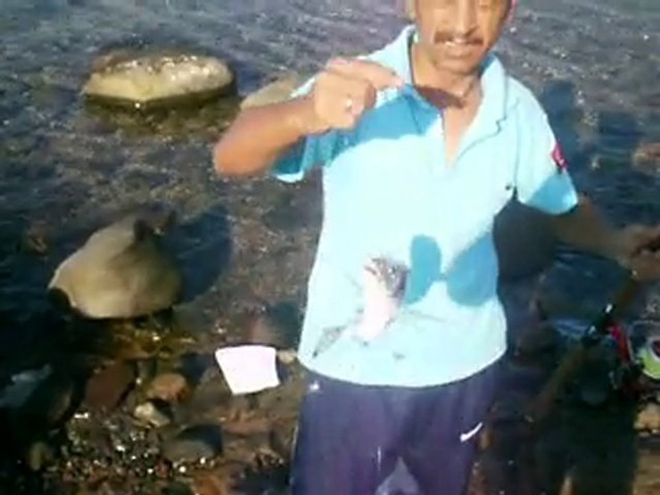 Hasan BALIKÇI www.balikcilar.org