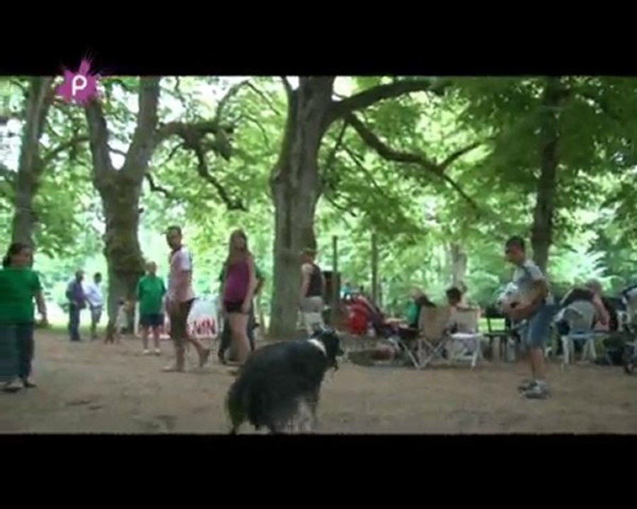 reportage sur la porte ouverte n°2