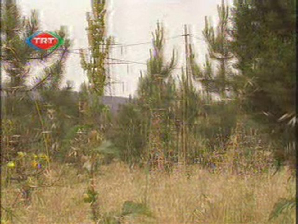TRT Gap - ÇEKÜD