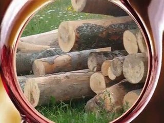 ANSAMBEL ŠTIRJE KOVAČI stari drvar