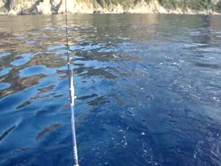 03-07-2010 peche a la traine au denti 4,3 KG