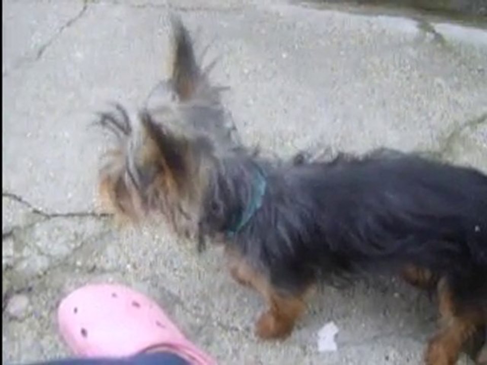 video3