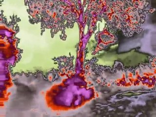 the psychedelic dawn(part one)