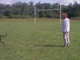 RECHERCHE UTILITAIRE